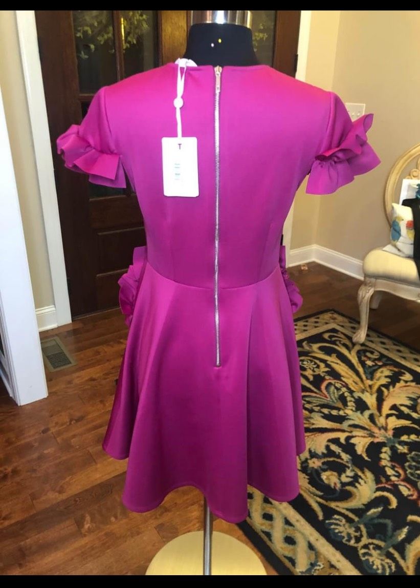 Ted Baker Size 2 Homecoming Cap Sleeve Hot Pink A-line Dress on Queenly