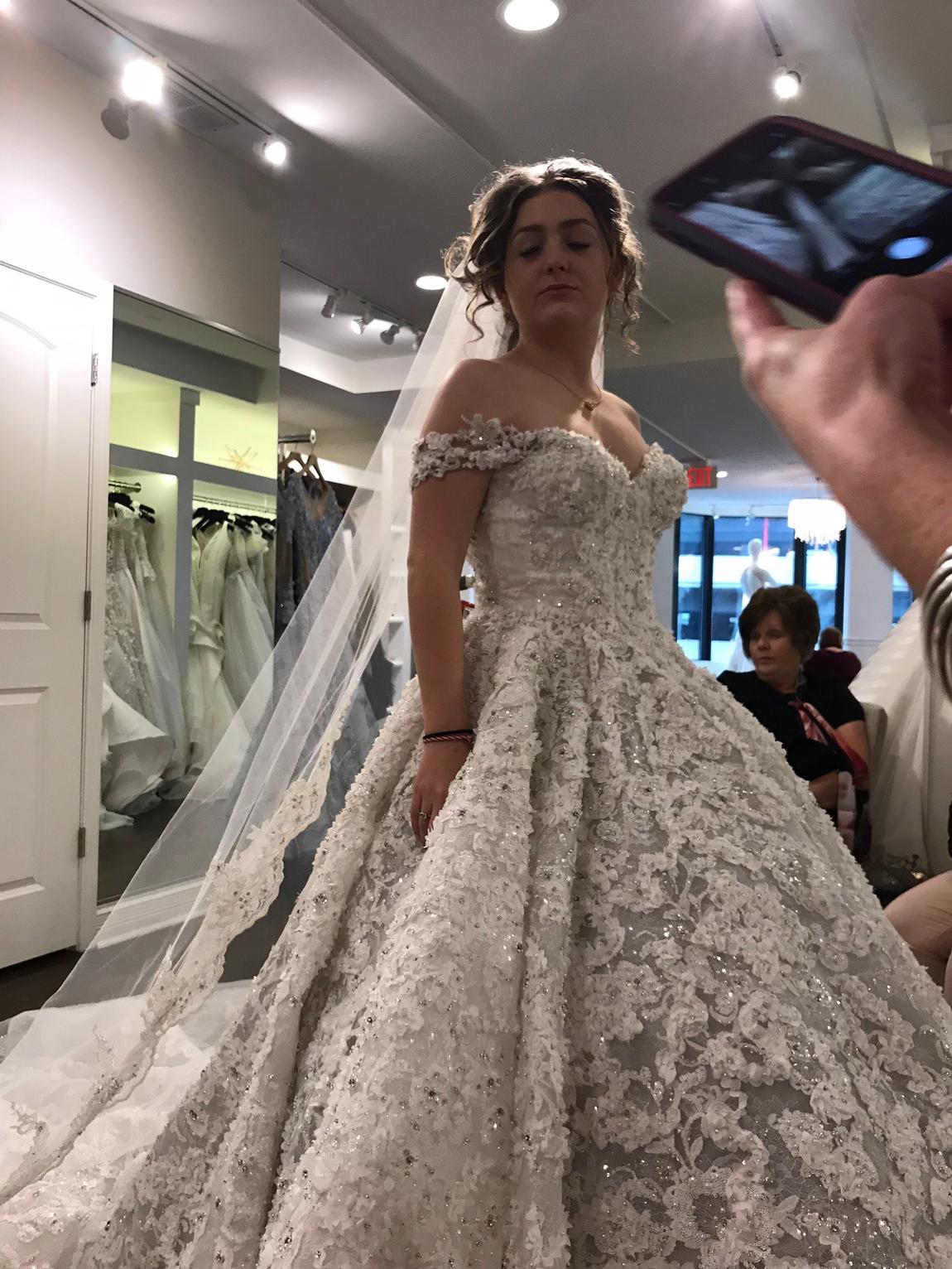 Long Full Lace Elegant Fall Gorgeous Modest Plus Size Princess Wedding –  SposaBridal