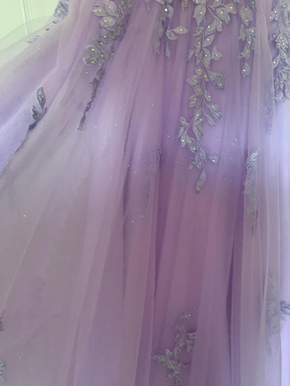 Size 4 Prom Sequined Purple Ball Gown on Queenly