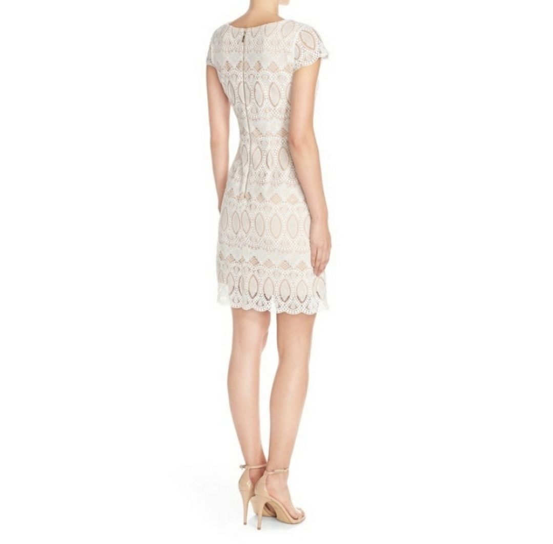 Eliza J Size 0 Cap Sleeve Lace White Cocktail Dress on Queenly