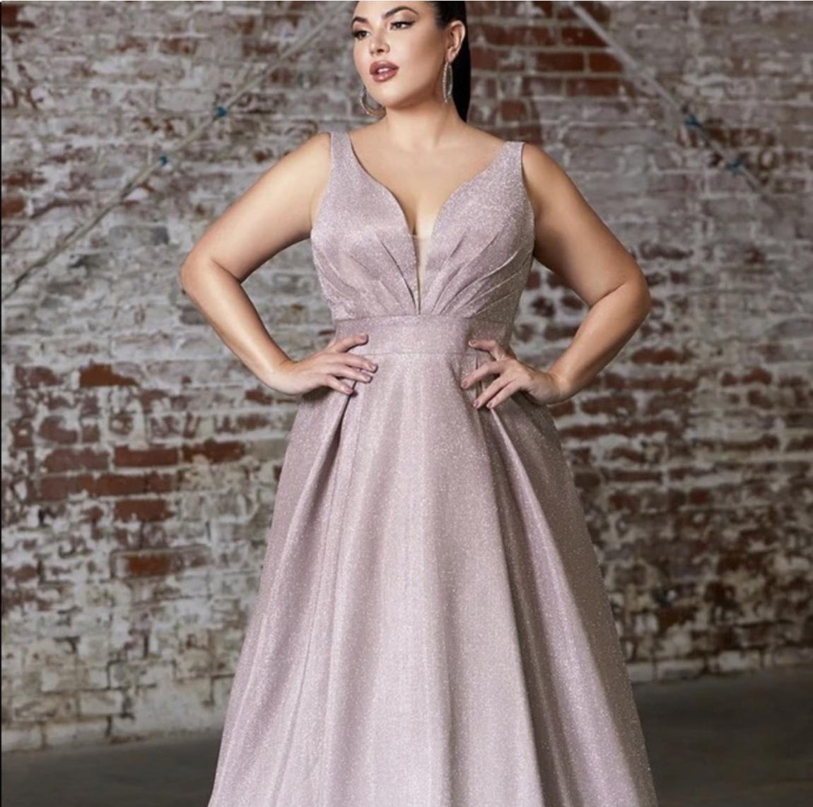 Style 9174C Cinderella Divine Plus Size 24 Pink A-line Dress on Queenly