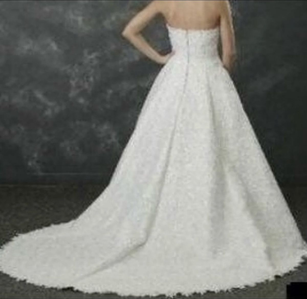 Plus Size 16 Wedding Lace White Ball Gown on Queenly
