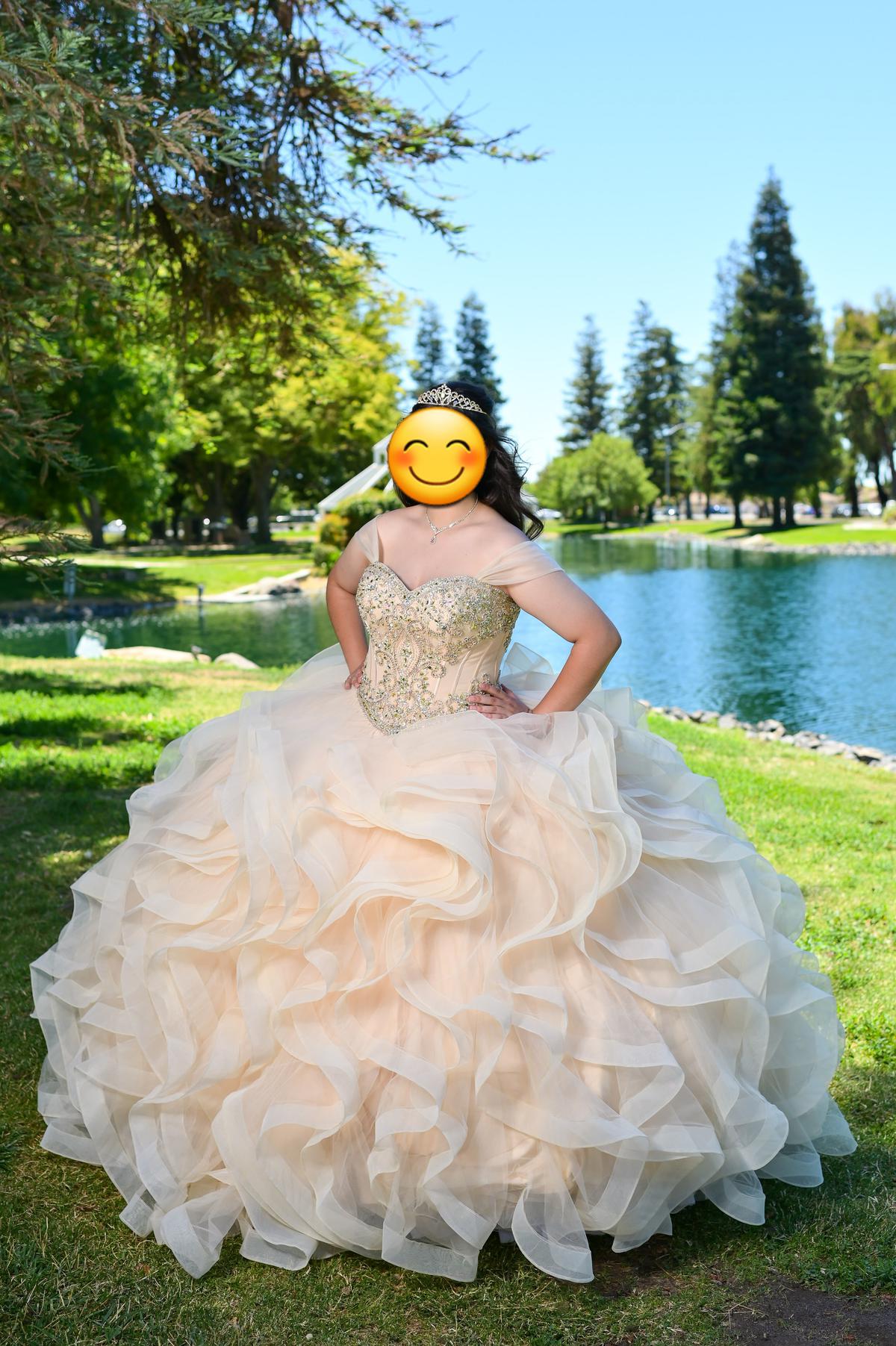Size 14 Ball Gown on Queenly