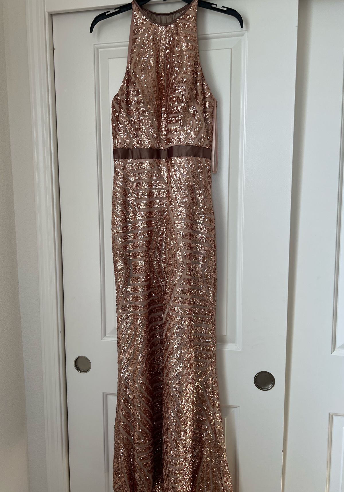 Cache Size 2 Sequined Nude Floor Length Maxi on Queenly