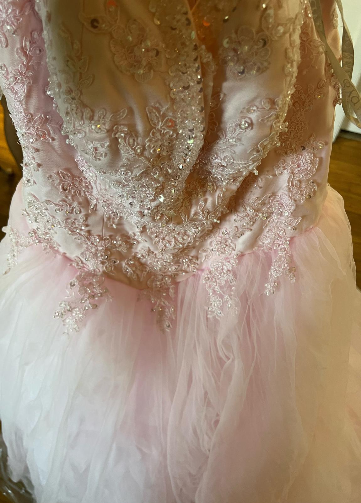 Plus Size 16 Prom Sequined Light Pink Ball Gown on Queenly