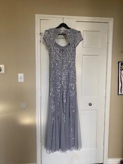Adrianna Papell Size 2 Silver Floor Length Maxi on Queenly