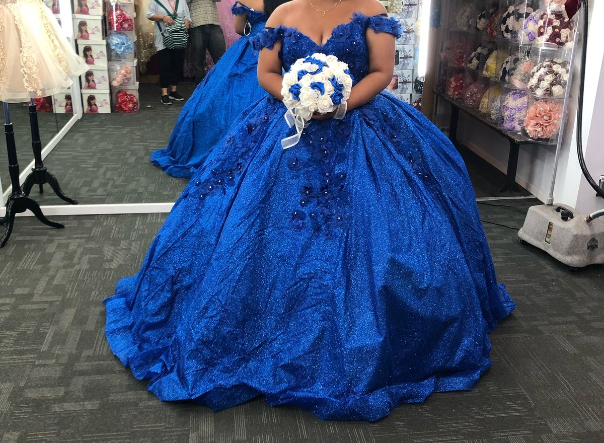 Plus Size 24 Royal Blue Ball Gown on Queenly