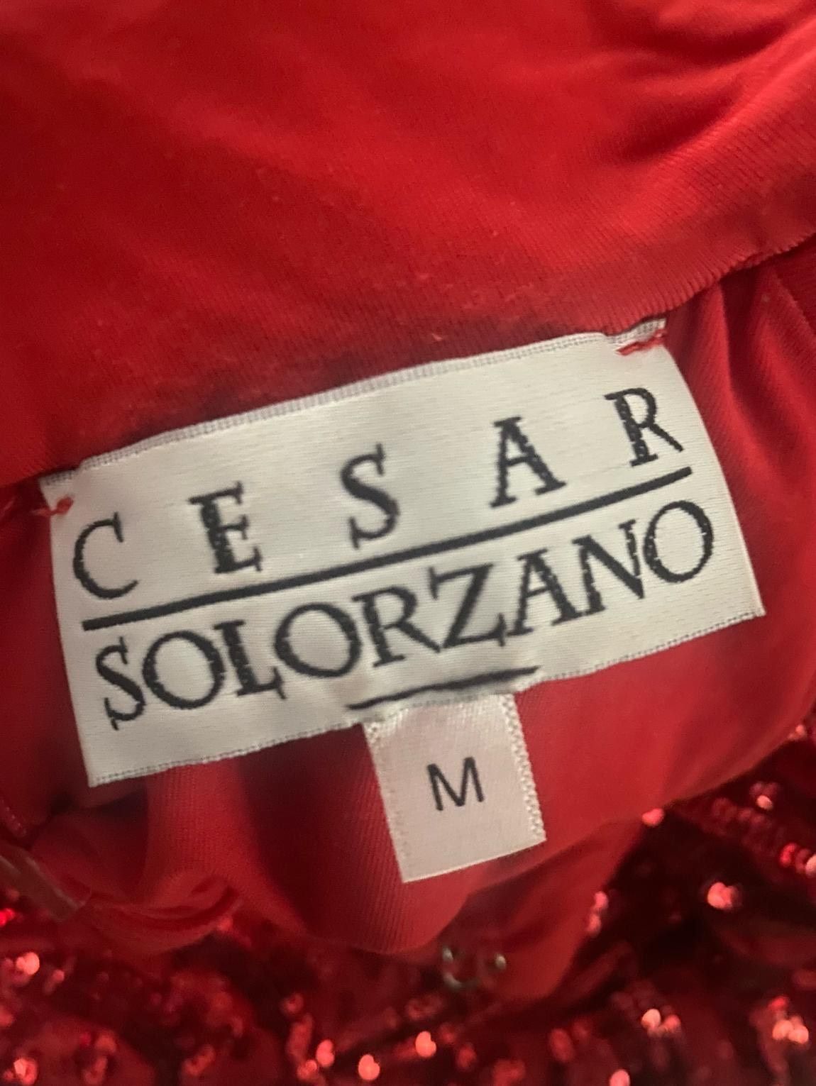 Cesar Solorzano Size 8 Sequined Red Floor Length Maxi on Queenly