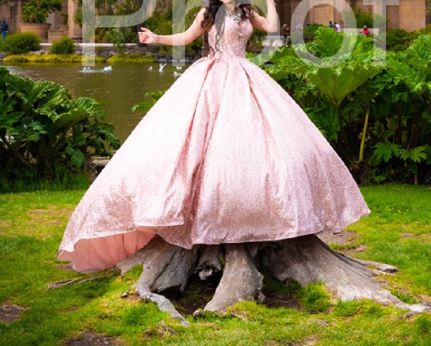 Size 2 Prom Lace Light Pink Ball Gown on Queenly