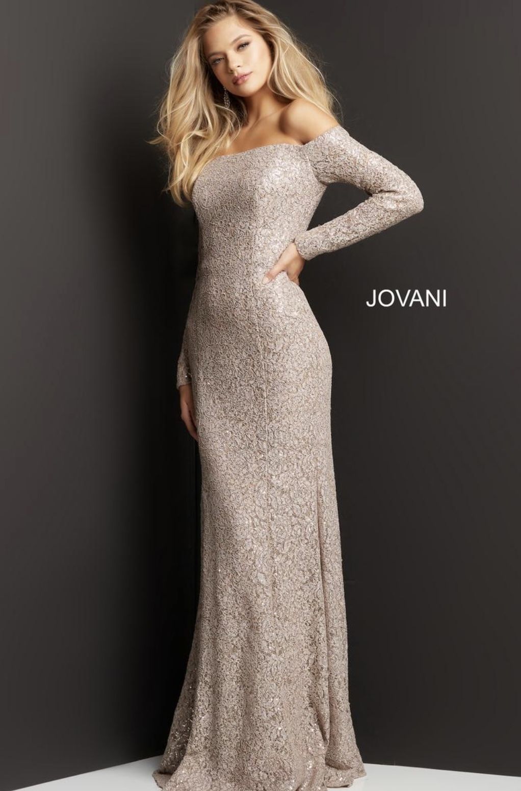 Style 03427 Jovani Size 6 Prom Long Sleeve Lace Nude Floor Length Maxi on Queenly