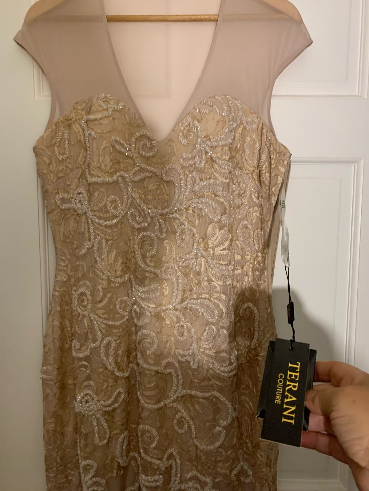 Terani Size 14 Prom Cap Sleeve Sequined Nude Dress With Train on Queenly