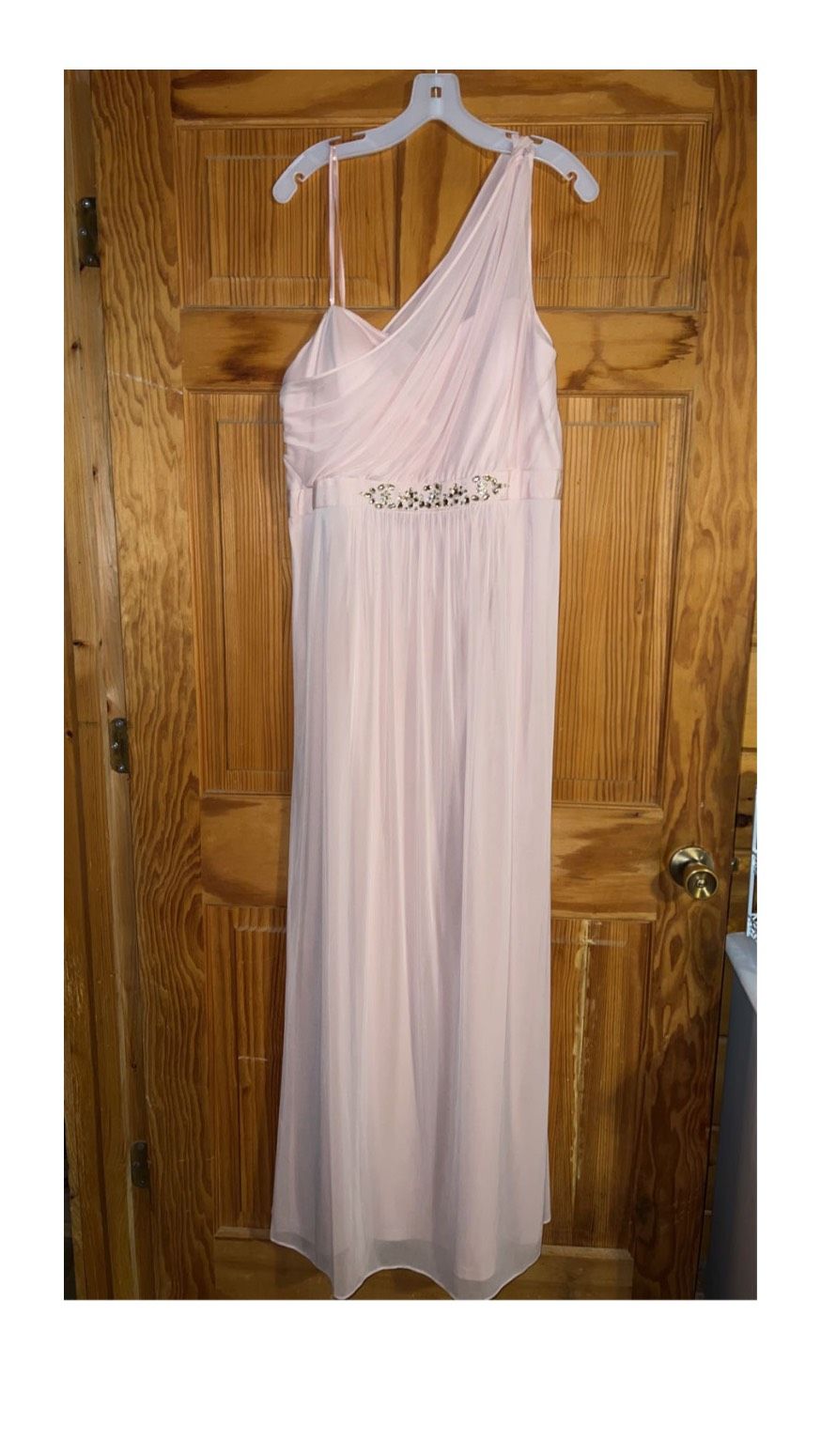 Plus Size 20 Prom Pink Floor Length Maxi on Queenly