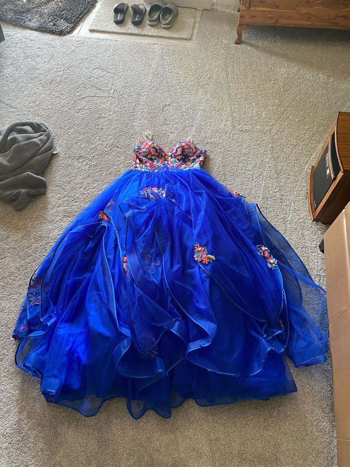 Angela and Alison Size 14 Blue Ball Gown on Queenly