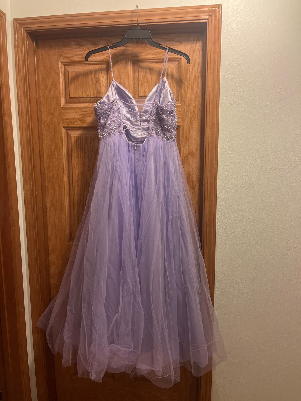 Ellie Wilde Size 14 Prom Purple Ball Gown on Queenly