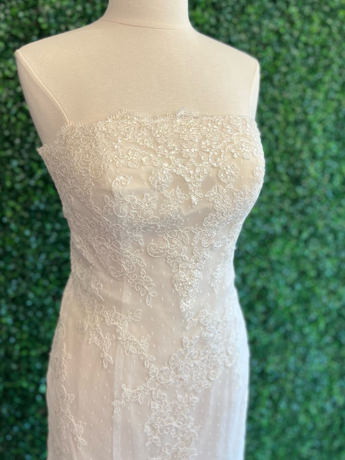Ella Rosa Size 8 Strapless Lace Nude Mermaid Dress on Queenly