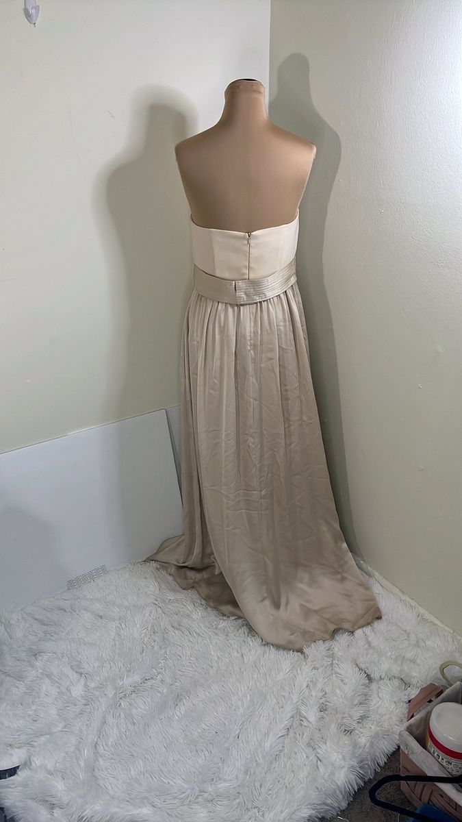 Vera wang Size 12 Prom Nude Dress With Train on Queenly