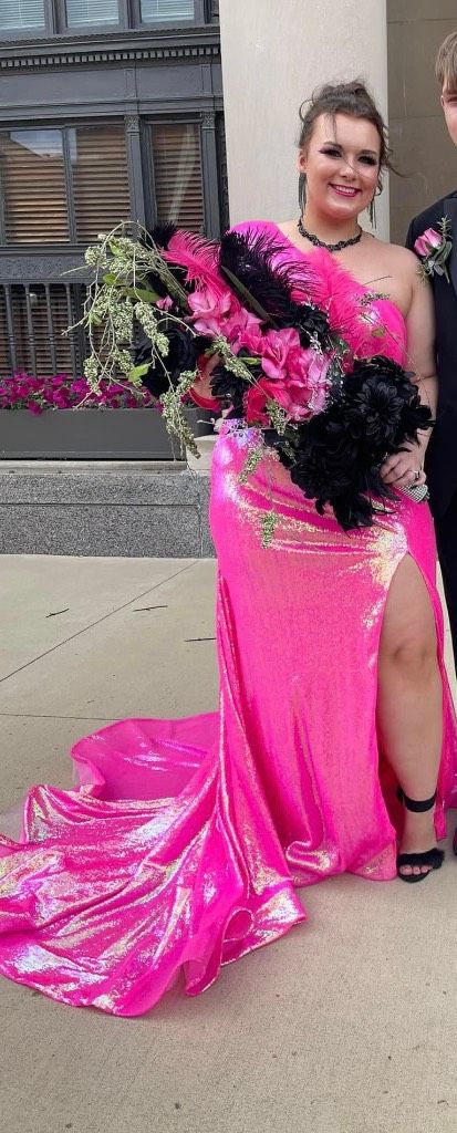 Plus Size 16 Prom Pink Dress With Train on Queenly