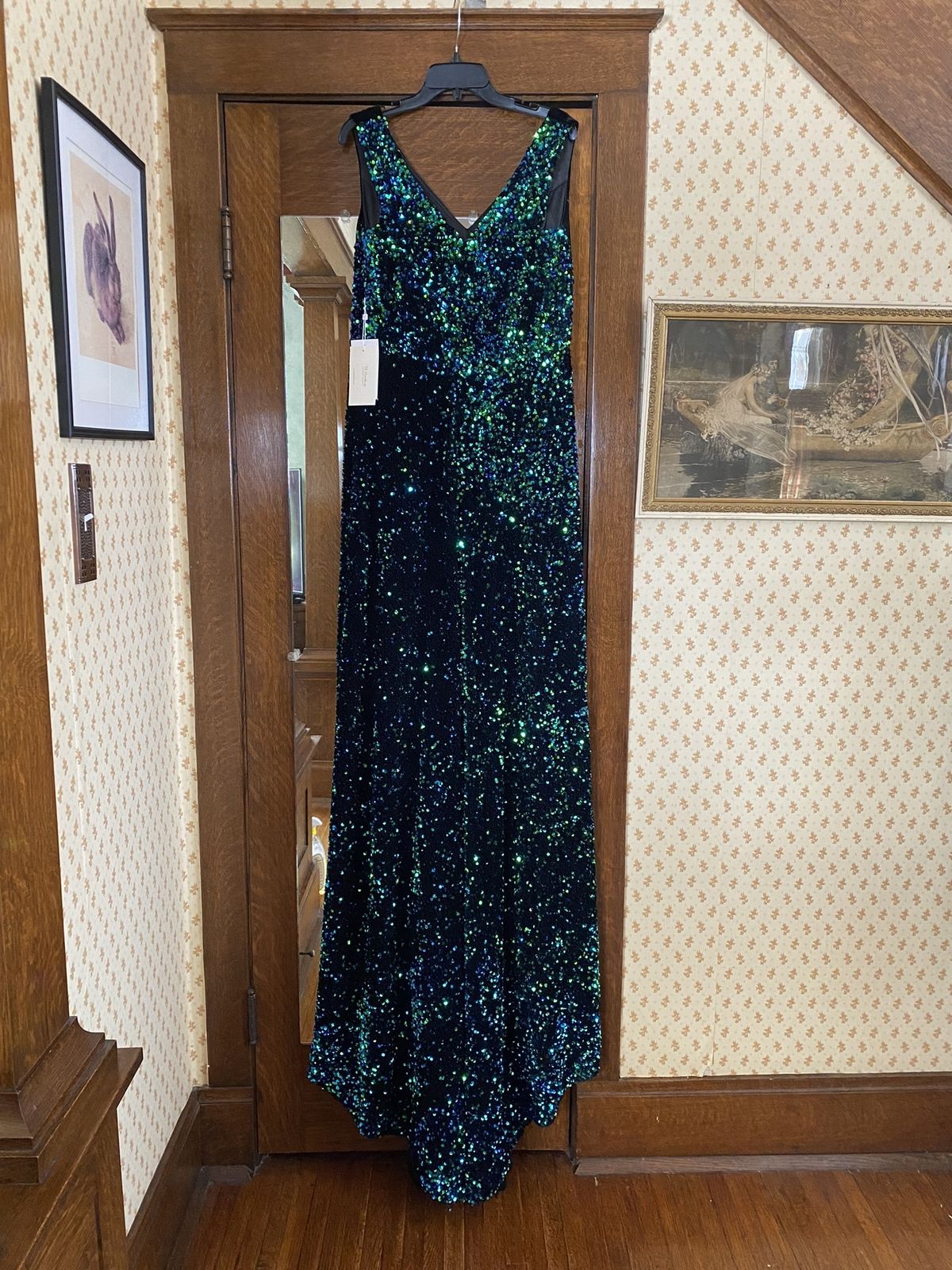 Size 14 Prom Velvet Multicolor A-line Dress on Queenly