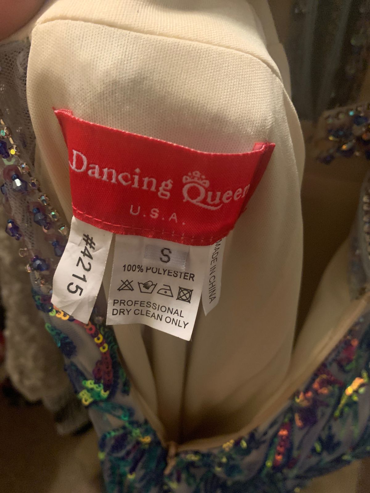 Dancing Queen Size 4 Prom Multicolor Floor Length Maxi on Queenly