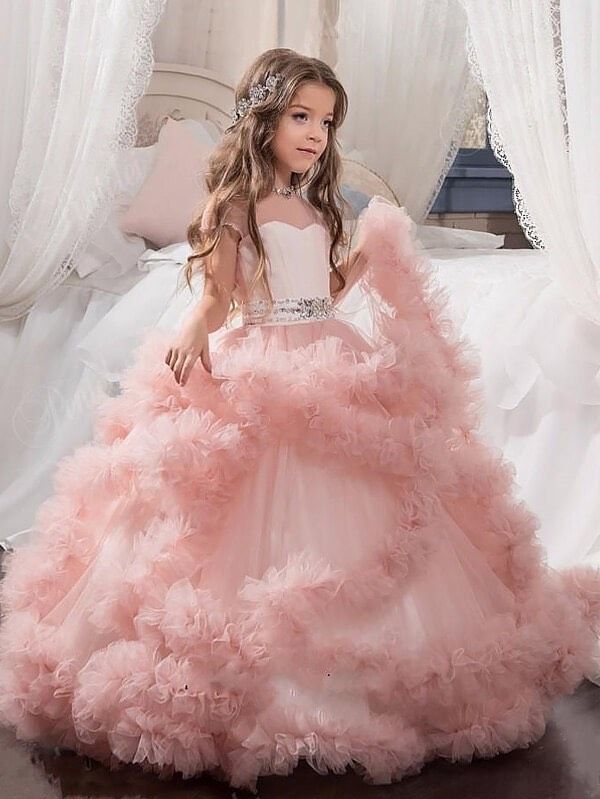 Plus Size 24 Pink Ball Gown on Queenly