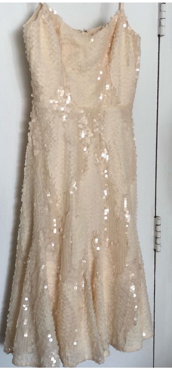Dress the Population Size S Nude Cocktail Dress on Queenly