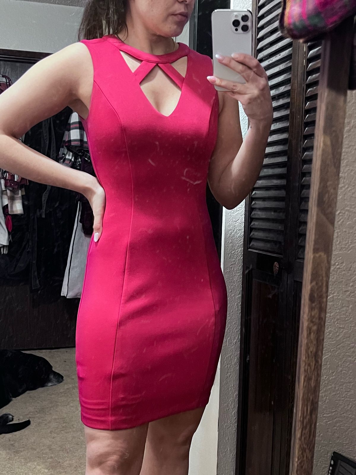Pink Dress Guess