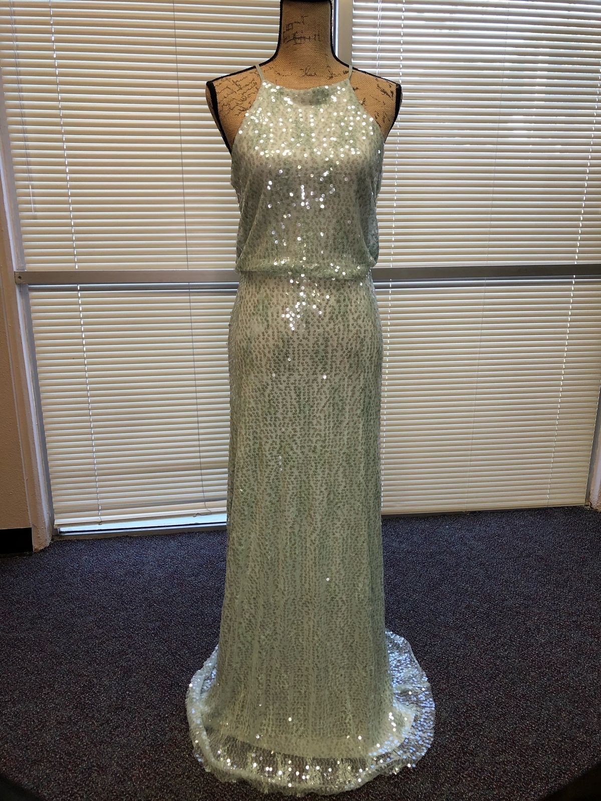 Size 8 Prom Light Green Floor Length Maxi on Queenly
