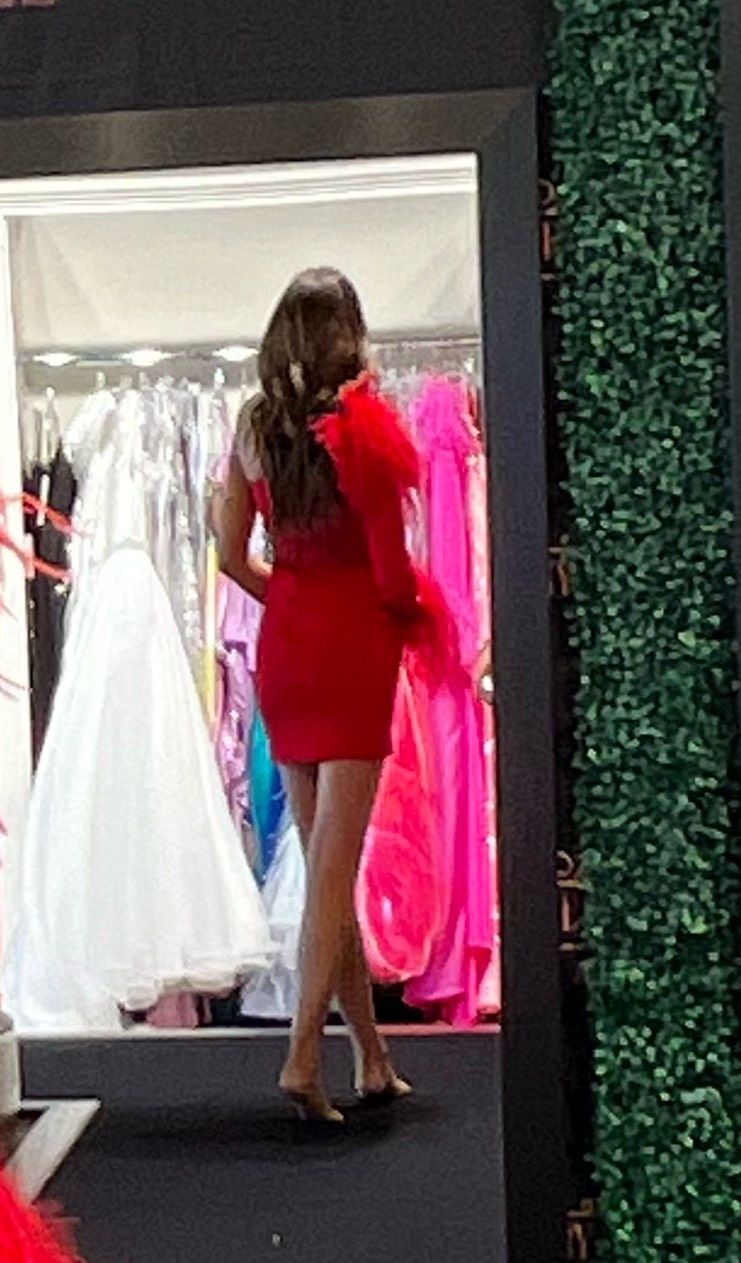 Ashley Lauren Size 2 Prom Red Cocktail Dress on Queenly
