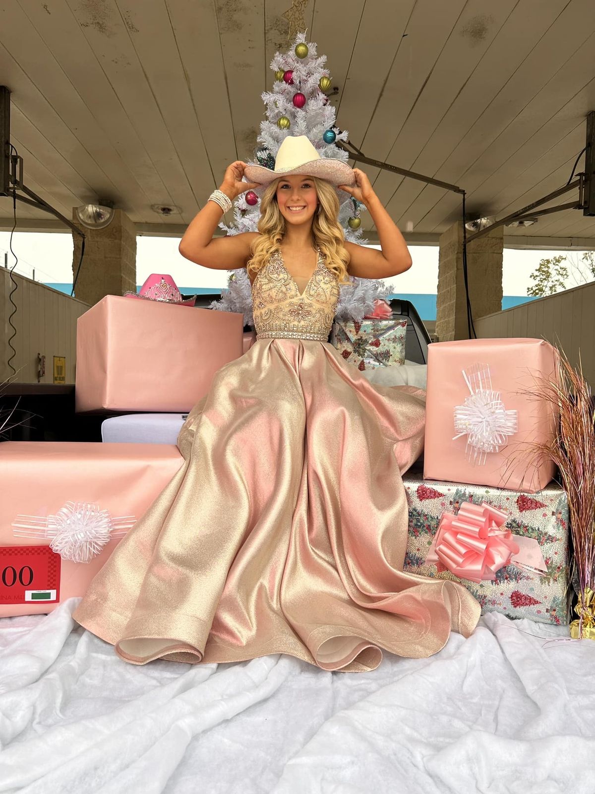 Rachel Allan Size 4 Pink Ball Gown on Queenly
