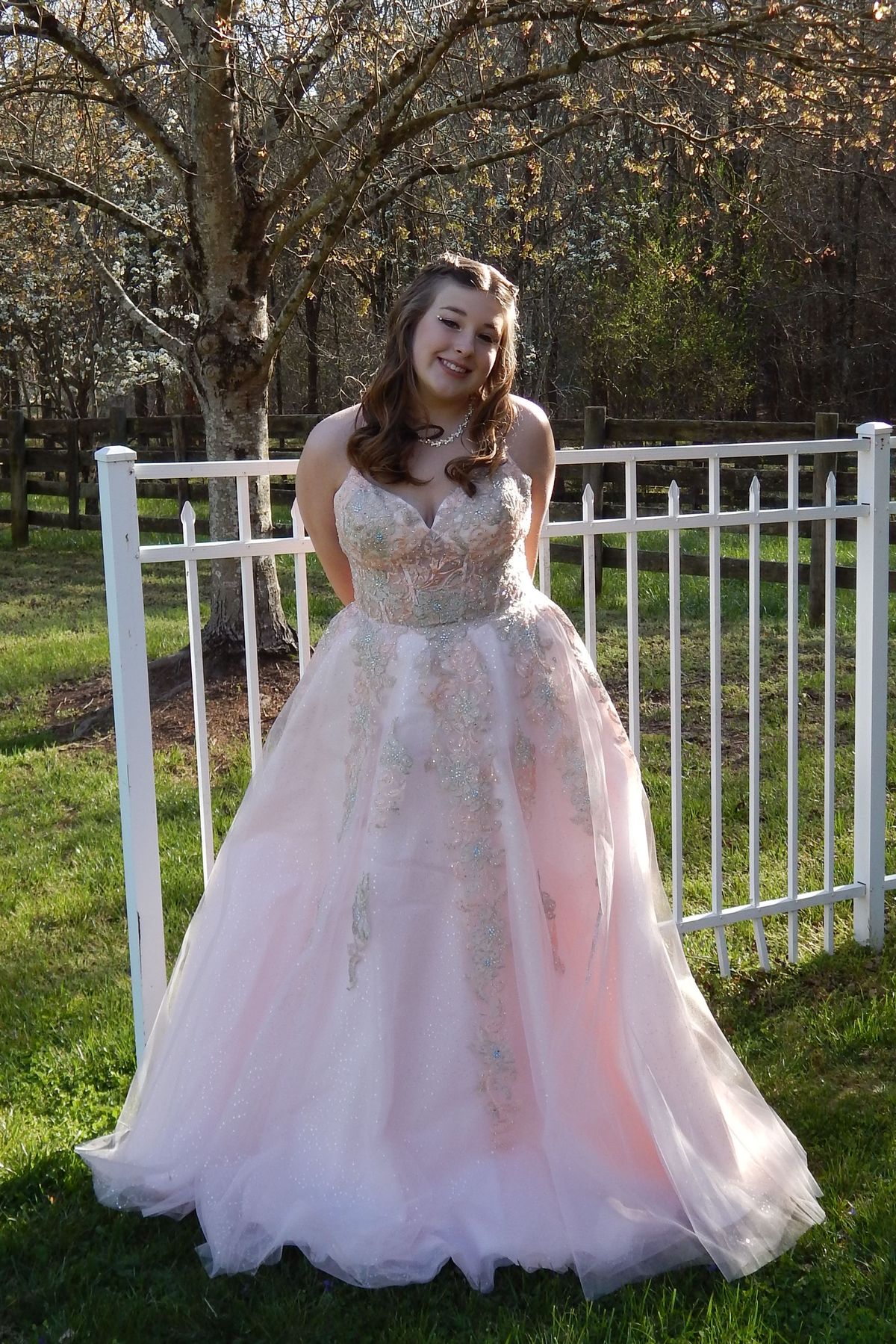 Plus Size 16 Pink Ball Gown on Queenly