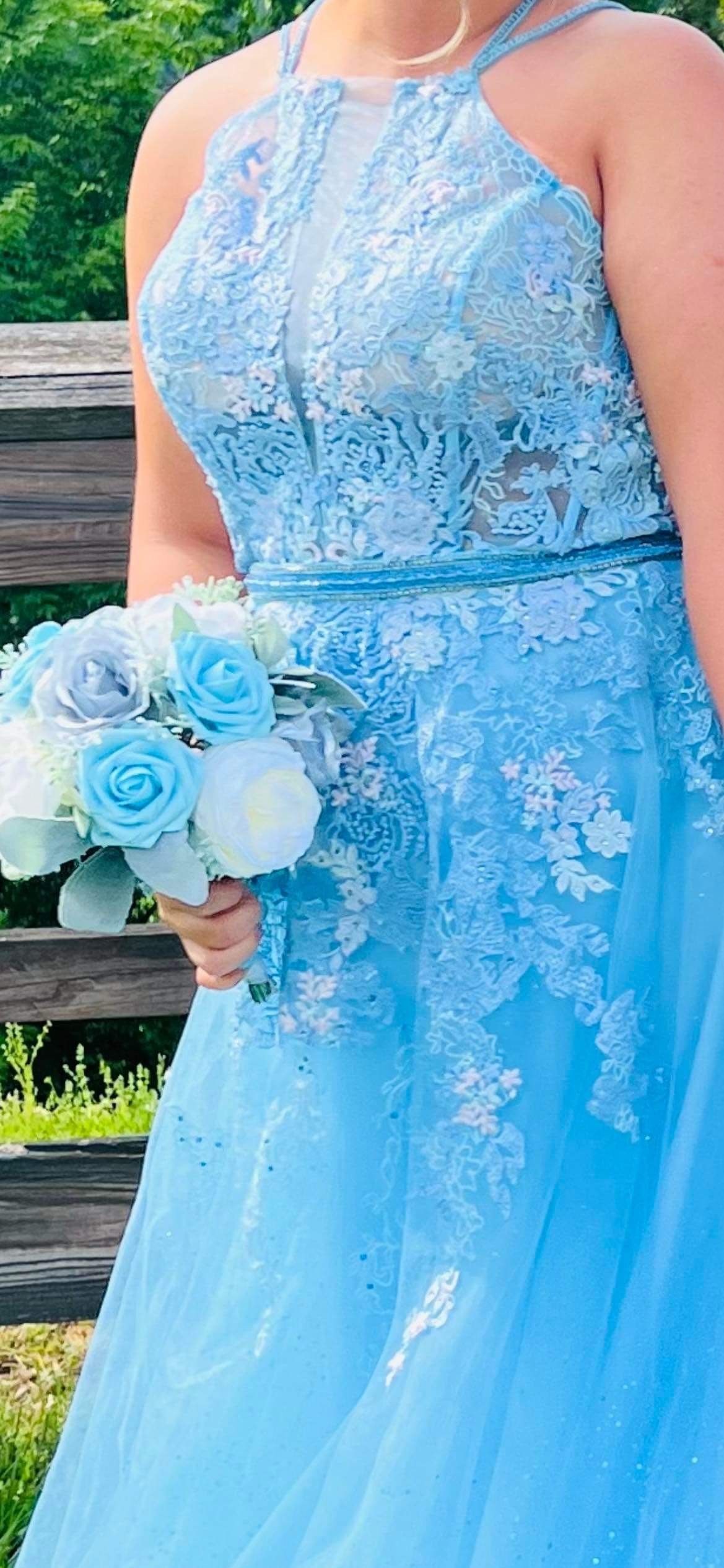Ellie Wilde Plus Size 16 Prom Blue Ball Gown on Queenly