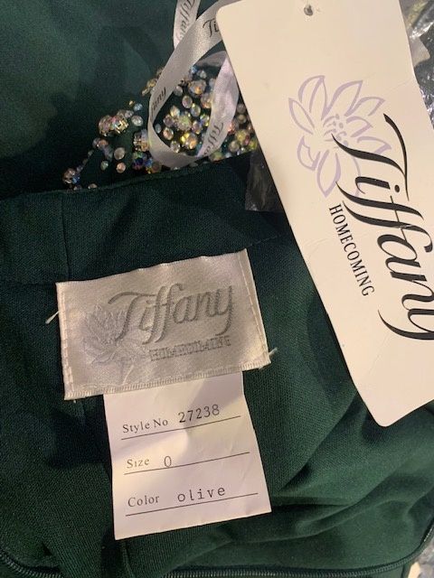 Tiffany Size 0 Long Sleeve Green Cocktail Dress on Queenly