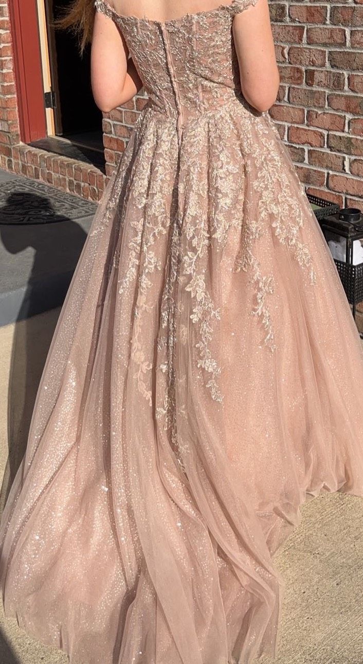 Sherri Hill Size 4 Prom Off The Shoulder Lace Nude Ball Gown on Queenly