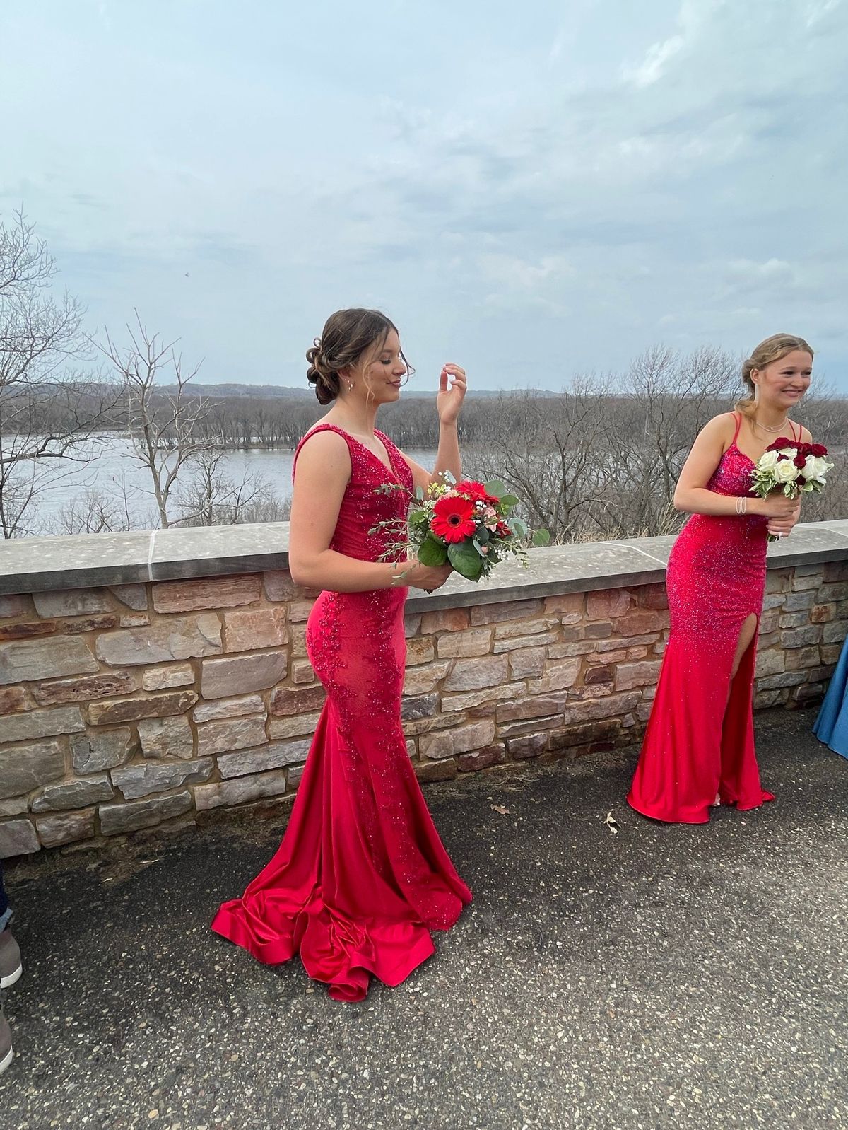 Ellie Wilde Size 6 Prom Red Mermaid Dress on Queenly