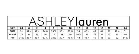 Ashley Lauren Size 6 Sheer Red Floor Length Maxi on Queenly