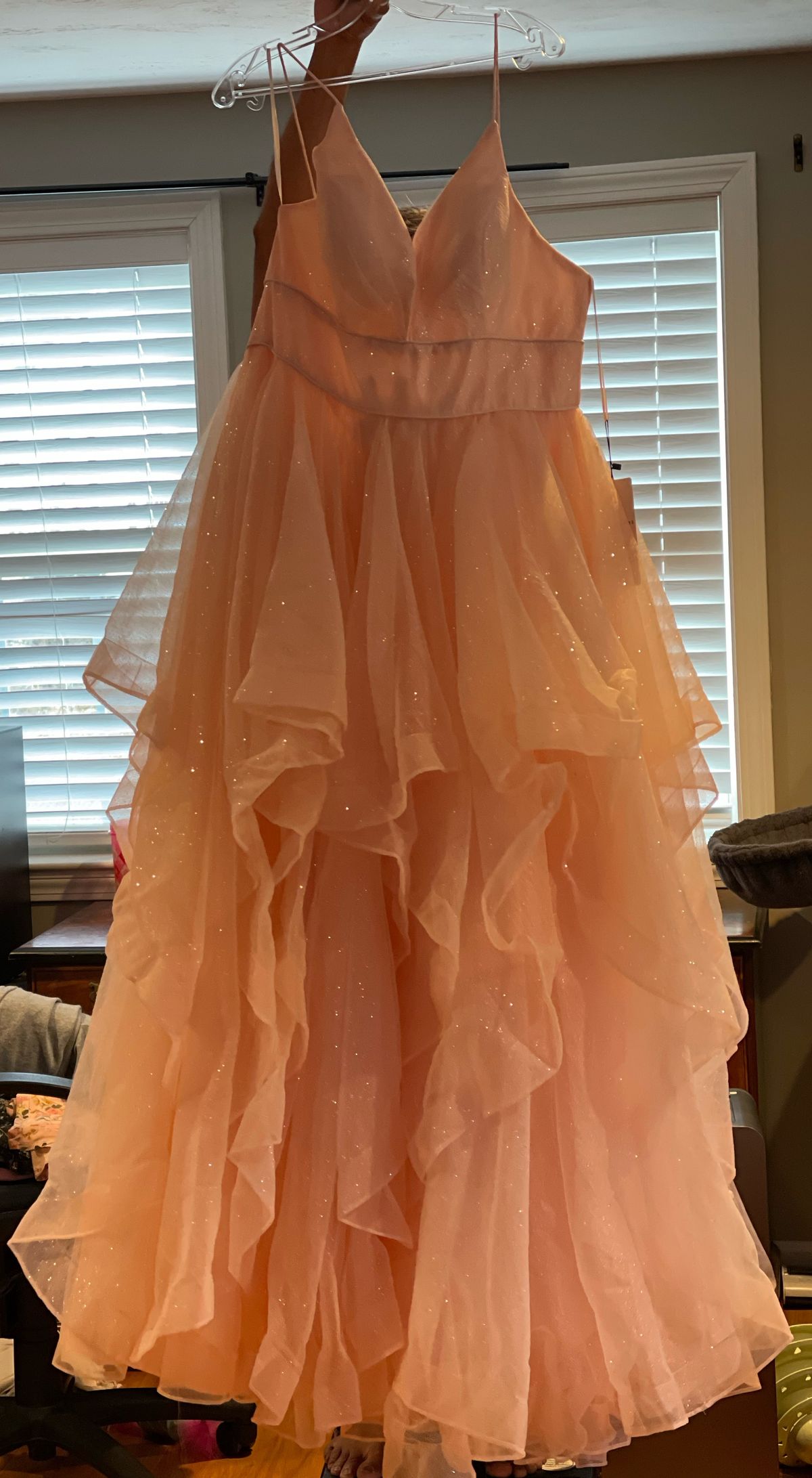 Colette Plus Size 16 Prom Nude Ball Gown on Queenly