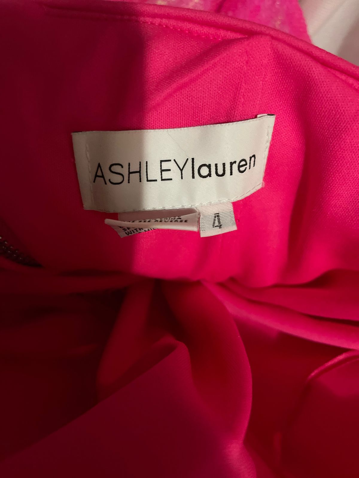 Ashley Lauren Size 4 Prom Pink Dress With Train on Queenly
