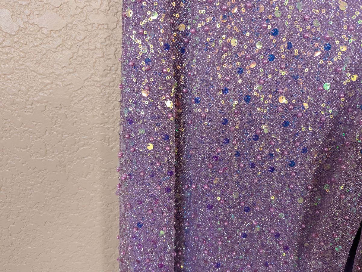 Cinderella Size 6 Prom Sequined Purple Side Slit Dress on Queenly