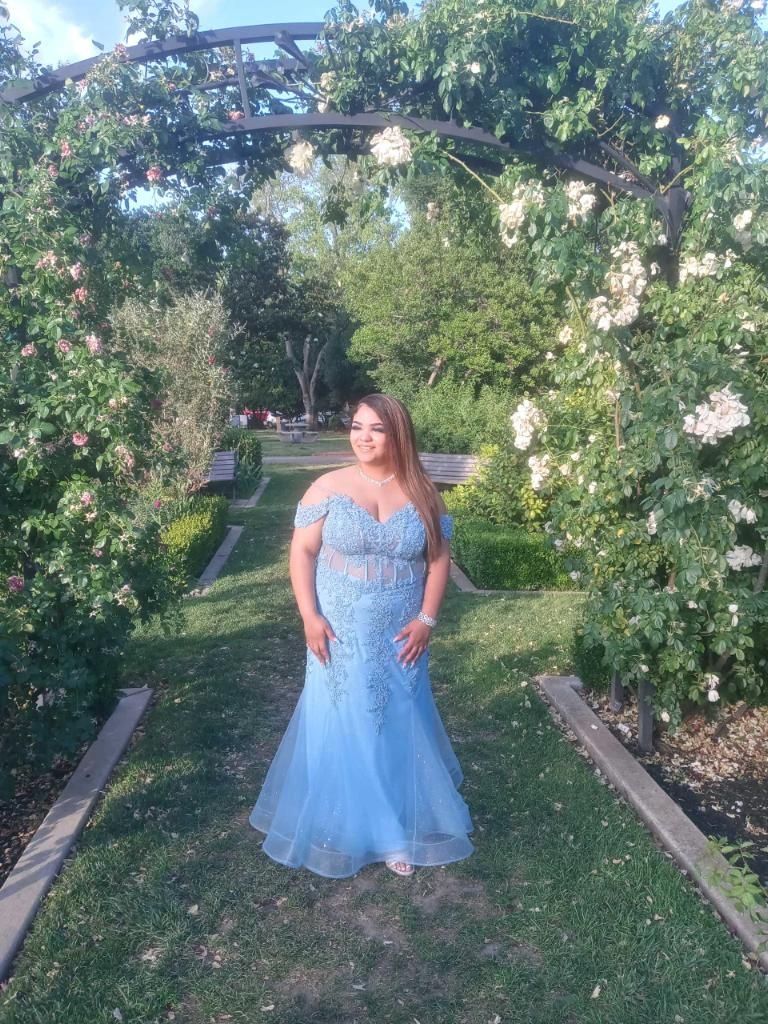Style 7733 Lets Plus Size 26 Prom Lace Light Blue Ball Gown on Queenly