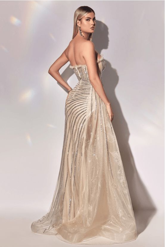 Style RHINESTONE Belle Le Chic Plus Size 16 Prom Strapless Sheer Nude Side Slit Dress on Queenly
