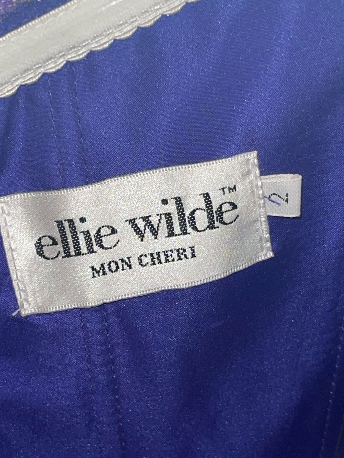 Ellie Wilde Size 2 Prom Purple Floor Length Maxi on Queenly