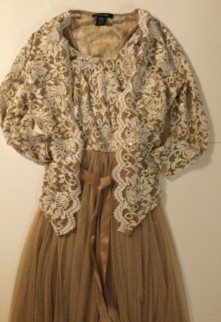 Candalite Size S Lace Nude A-line Dress on Queenly