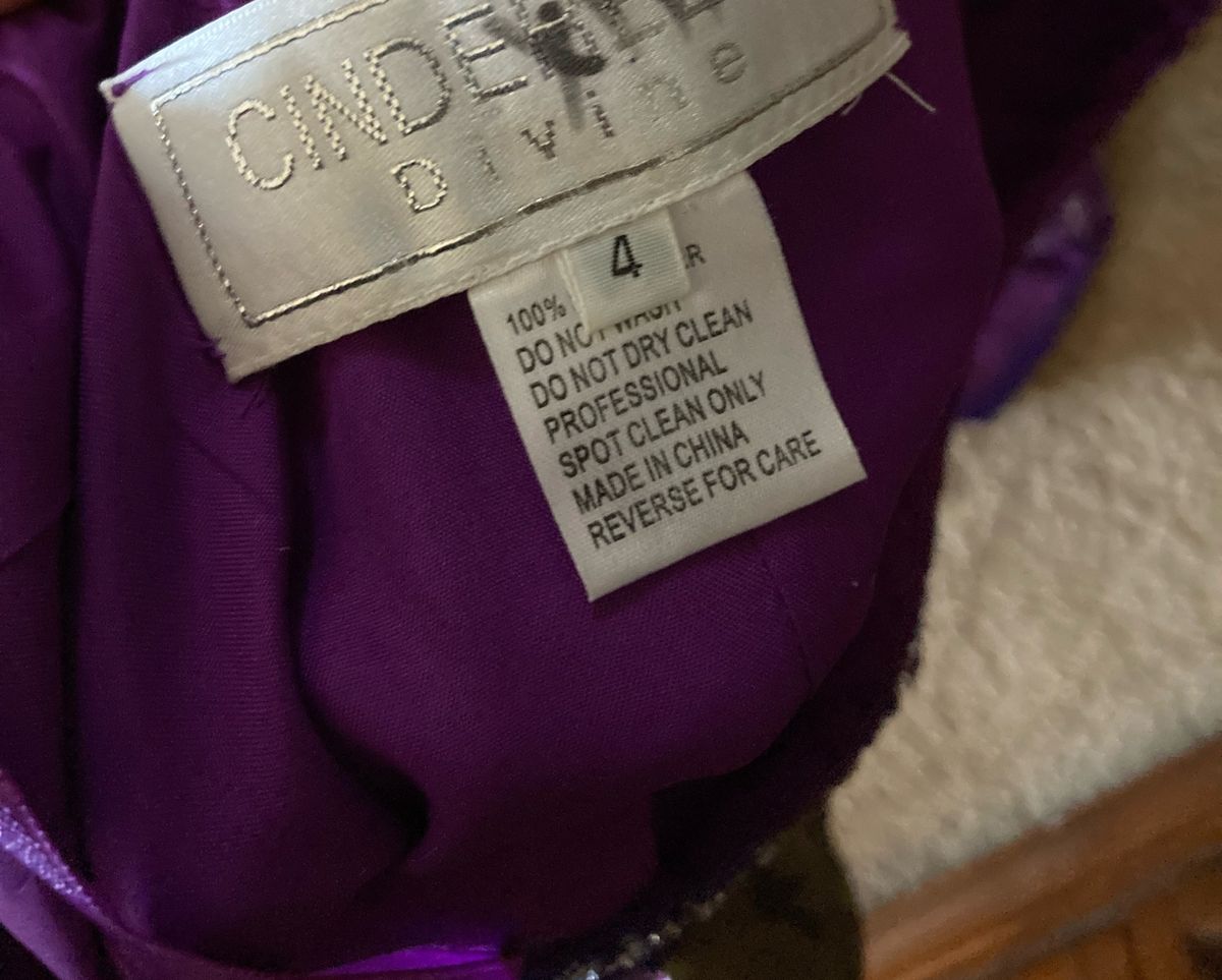 Cinderella Divine Size 4 Prom Purple Dress With Train on Queenly