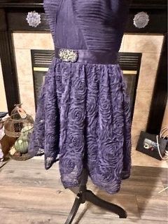 Adrianna Papell Size 10 Prom Purple A-line Dress on Queenly