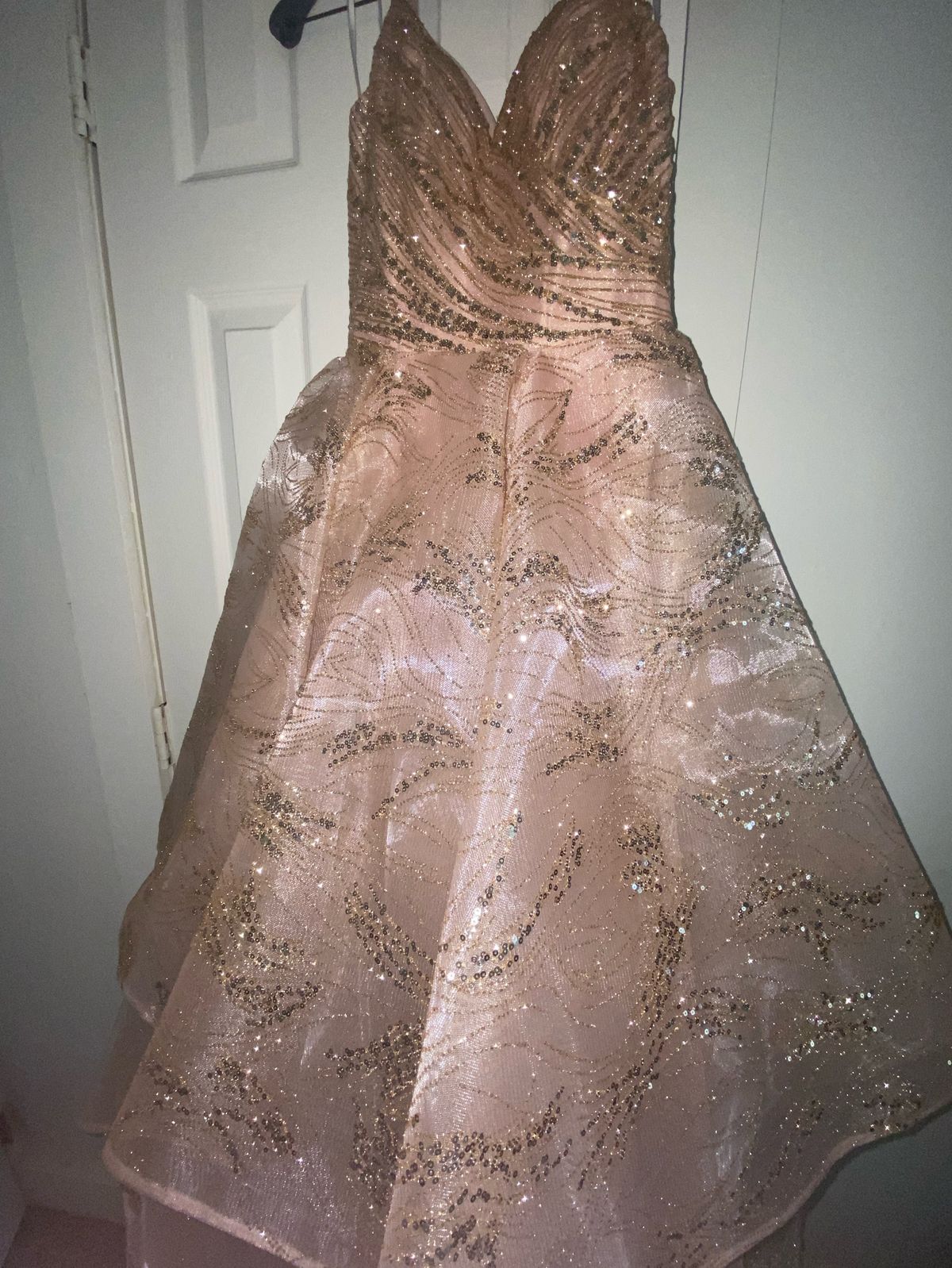 Ellie Wilde Size 2 Prom Pink Ball Gown on Queenly