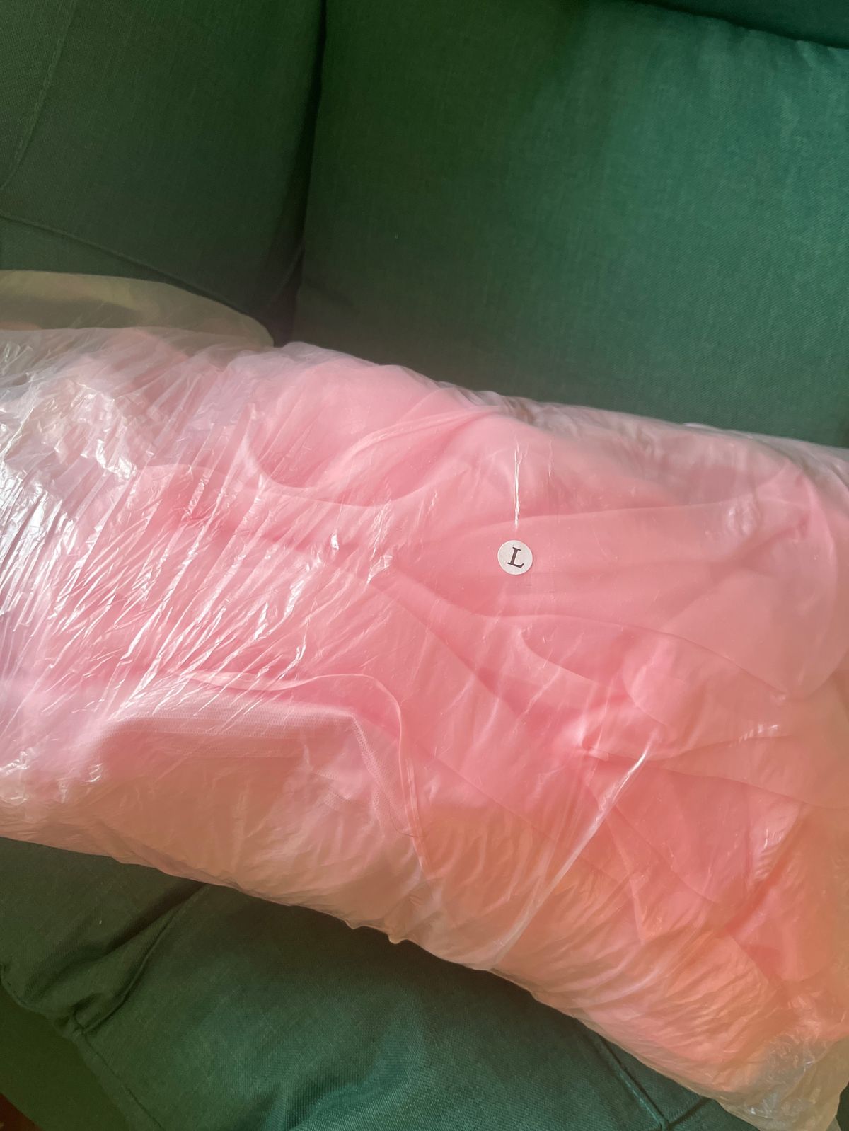 Wish Size L Prom Pink Ball Gown on Queenly