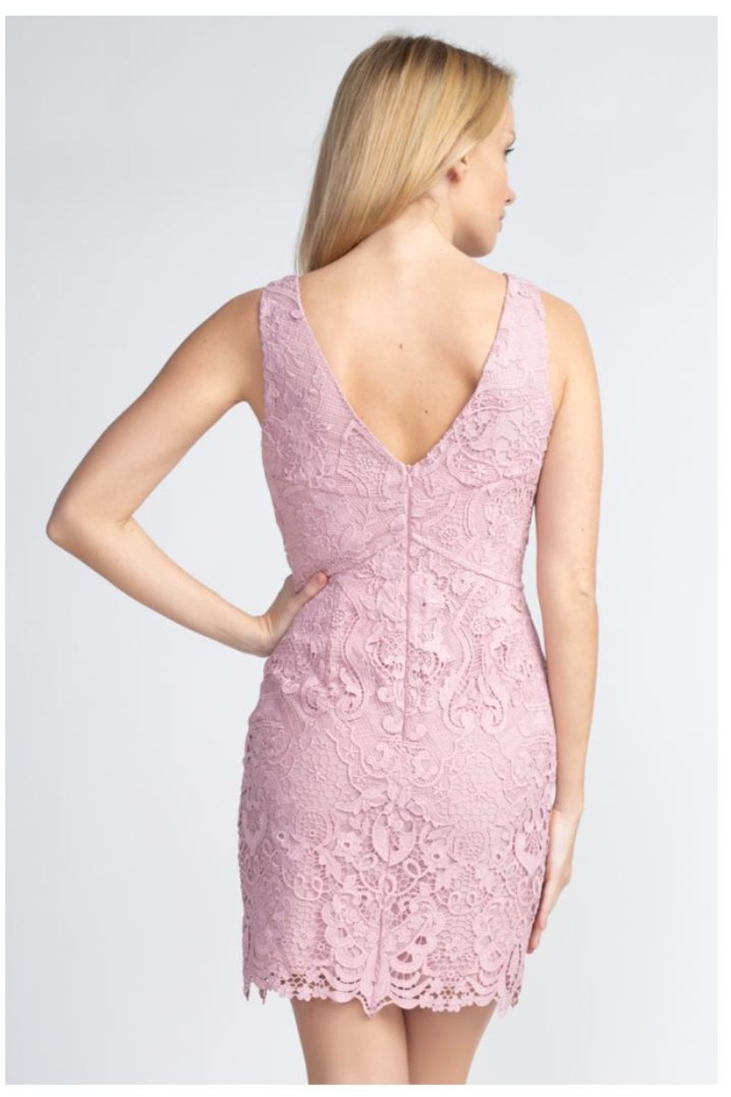 Style 9641-2 Minuet Size 10 Lace Pink Cocktail Dress on Queenly