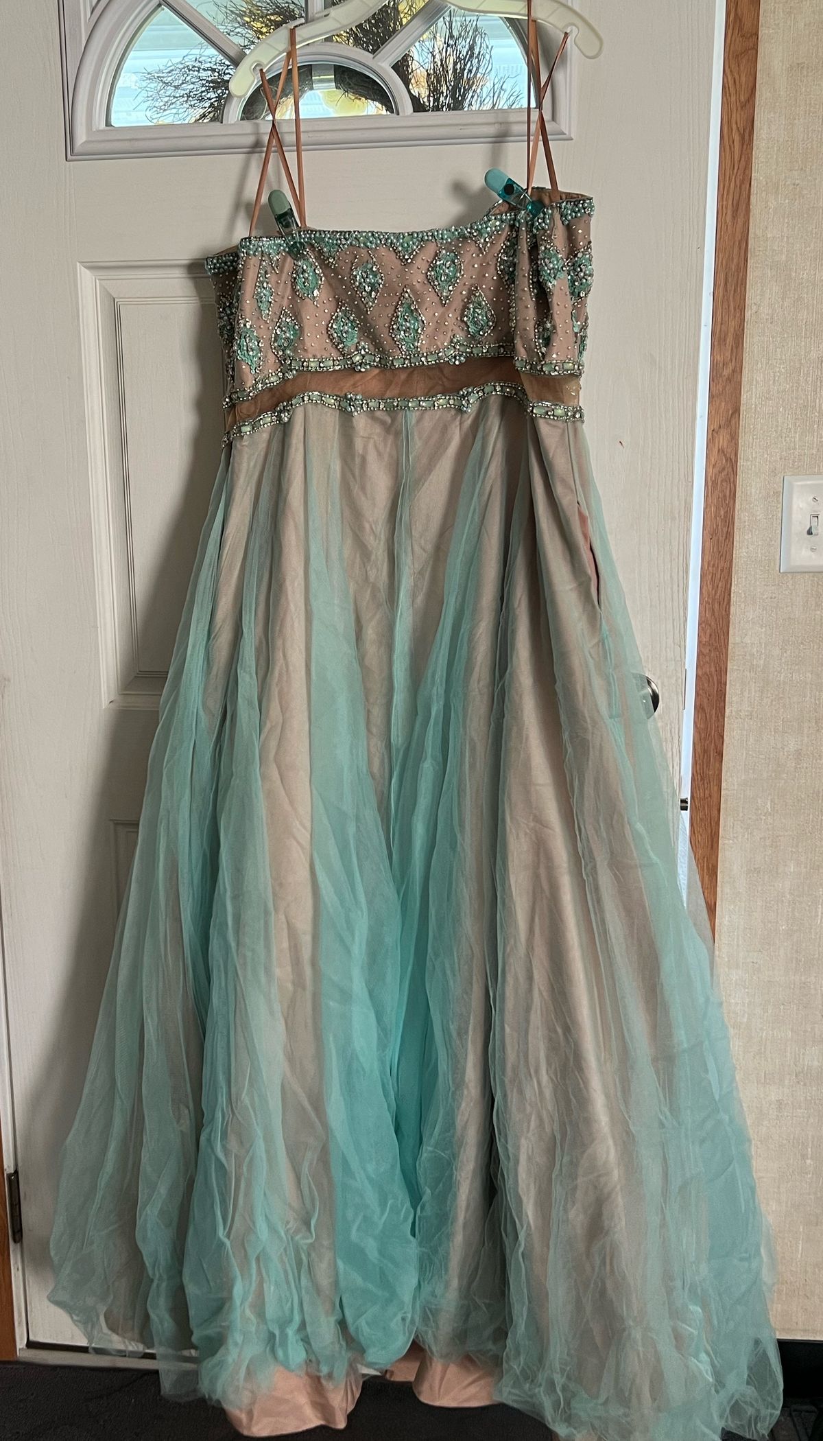 David's Bridal Plus Size 20 Prom Sheer Multicolor Dress With Train on Queenly