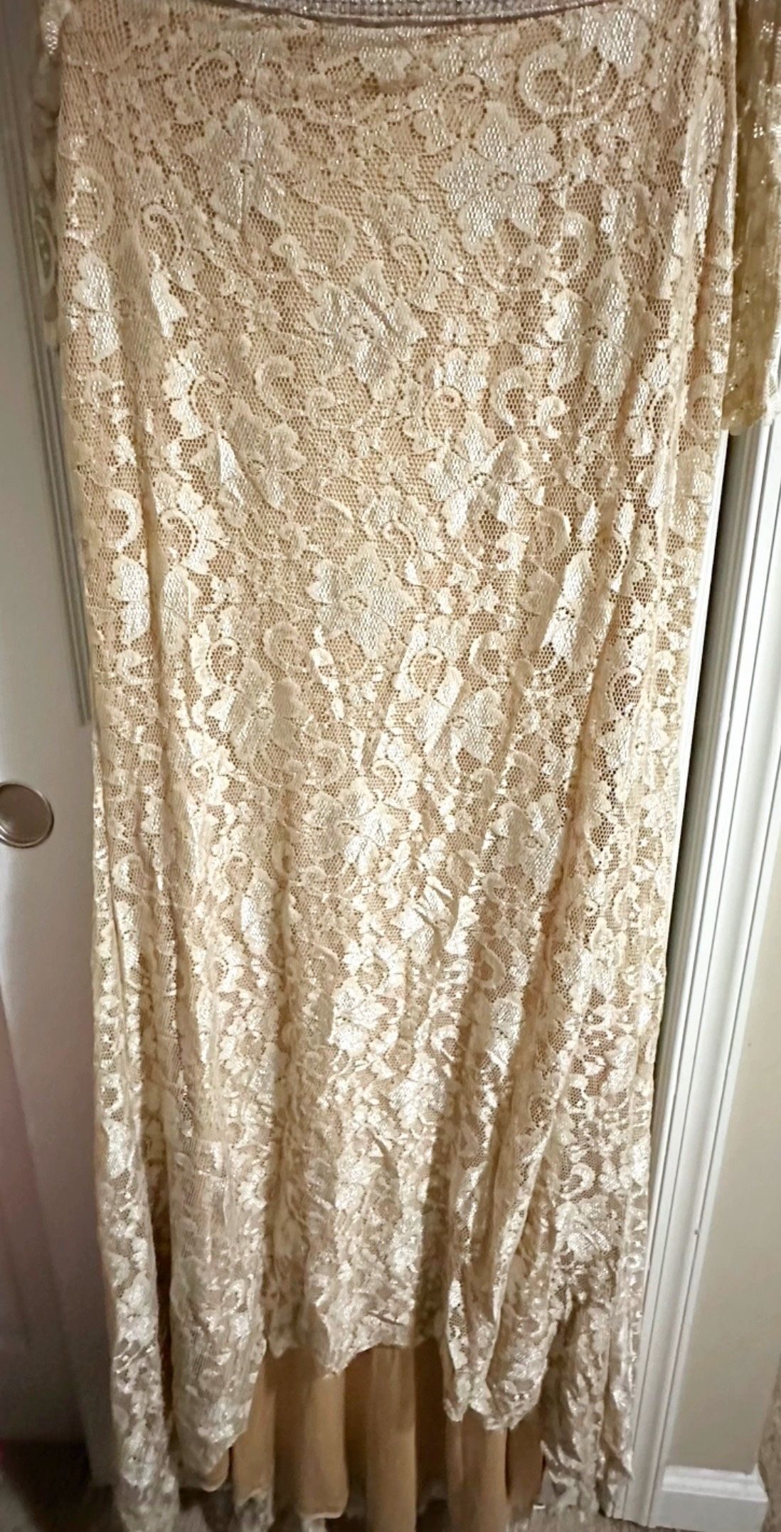 Jovani Size 8 Wedding Long Sleeve Lace Nude Mermaid Dress on Queenly