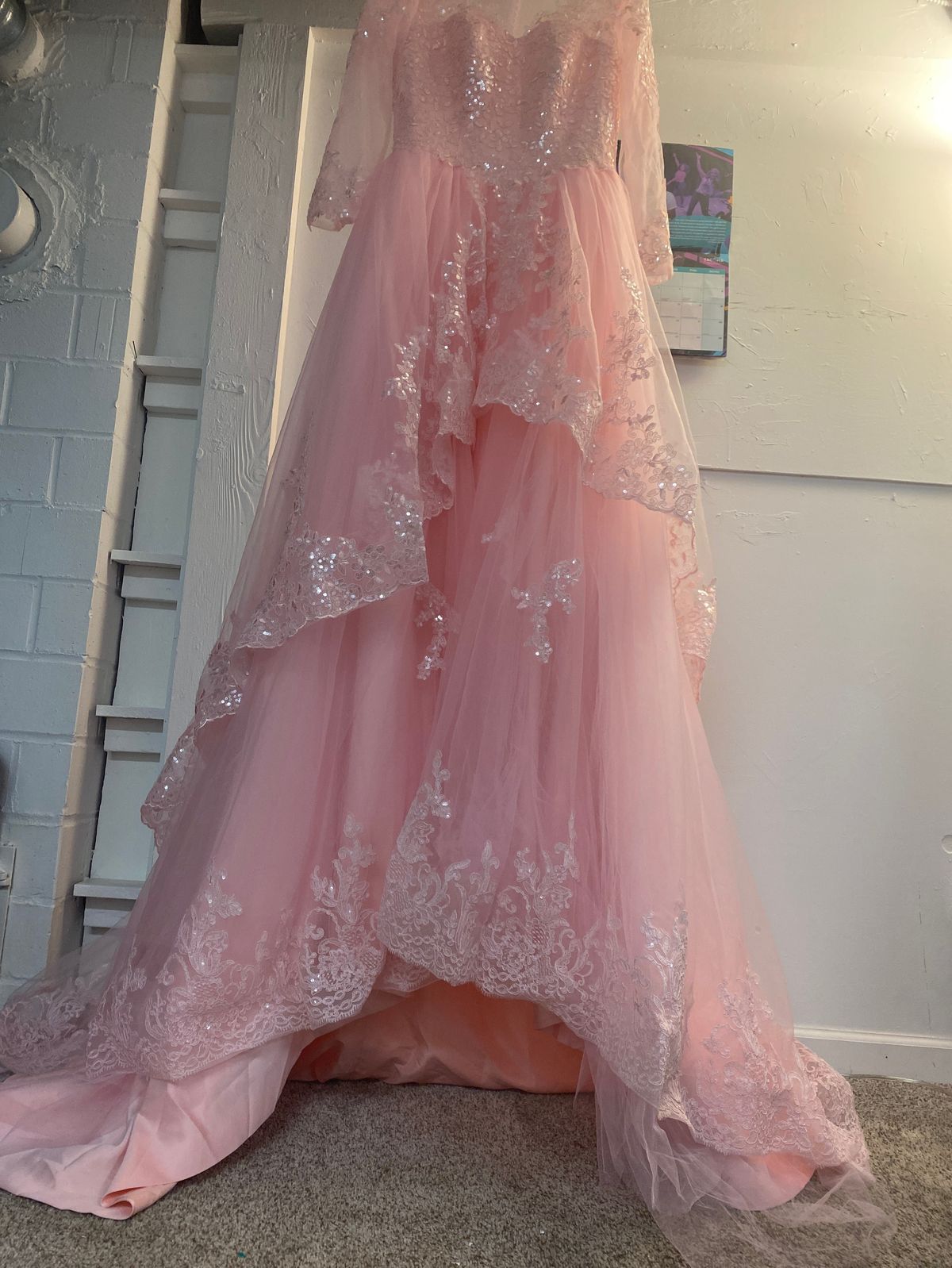 Size 10 Prom Long Sleeve Lace Light Pink Dress With Train on Queenly